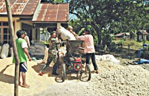 Serda Narko Bantu Petani Panen Jagung.