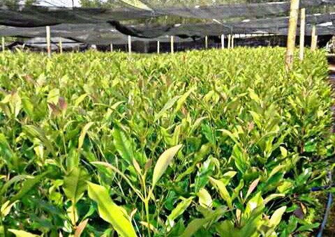 PicsArt_03-15-01.31.52