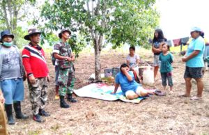 Diduga Takut Virus Corona, Warga Liwutung Berlindung di Perkebunan Makilou