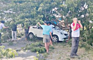 Ini Kerugian 4 Kendaraan Tertimpa Pohon Tumbang di Halaman Kantor Bupati