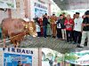 Jemaah Masjid Firdaus Manado Terima Sapi Kurban Dari Presiden Prabowo