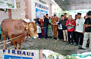 Jemaah Masjid Firdaus Manado Terima Sapi Kurban Dari Presiden Prabowo