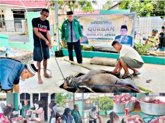 Mathla’ul Anwar Sulut Gelar Penyembelihan dan Pembagian Daging Kurban di Dua Desa